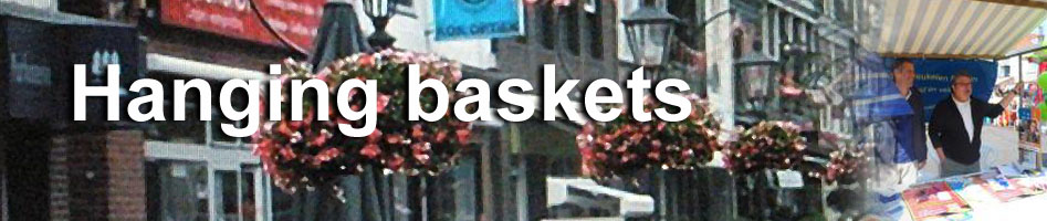 Wijkcomité Breukelen-Midden